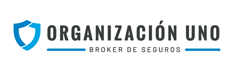 Organización 1